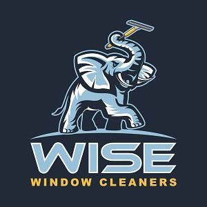 Wise Window Cleaners