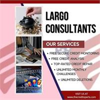 Largo Consultants Largo Consultants