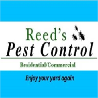  Reed Pest