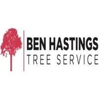  Ben  Hastings