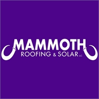 Mammoth Roofing & Solar of Austin Scott Cowan